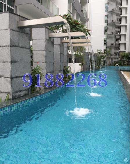 Eight Riversuites (D12), Condominium #109567742